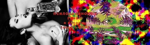 молекула духа Армянск